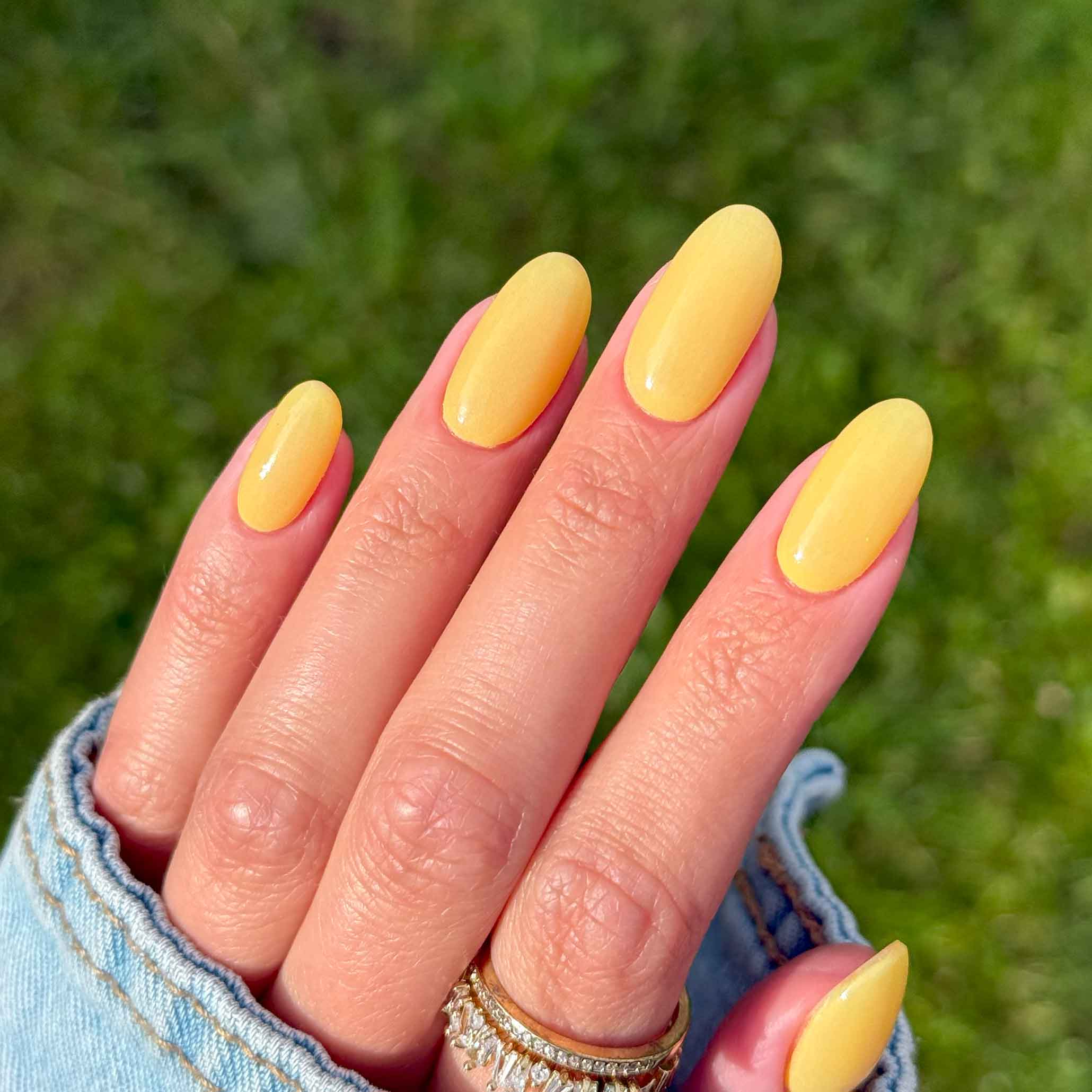 Hello Sunshine - Image 2
