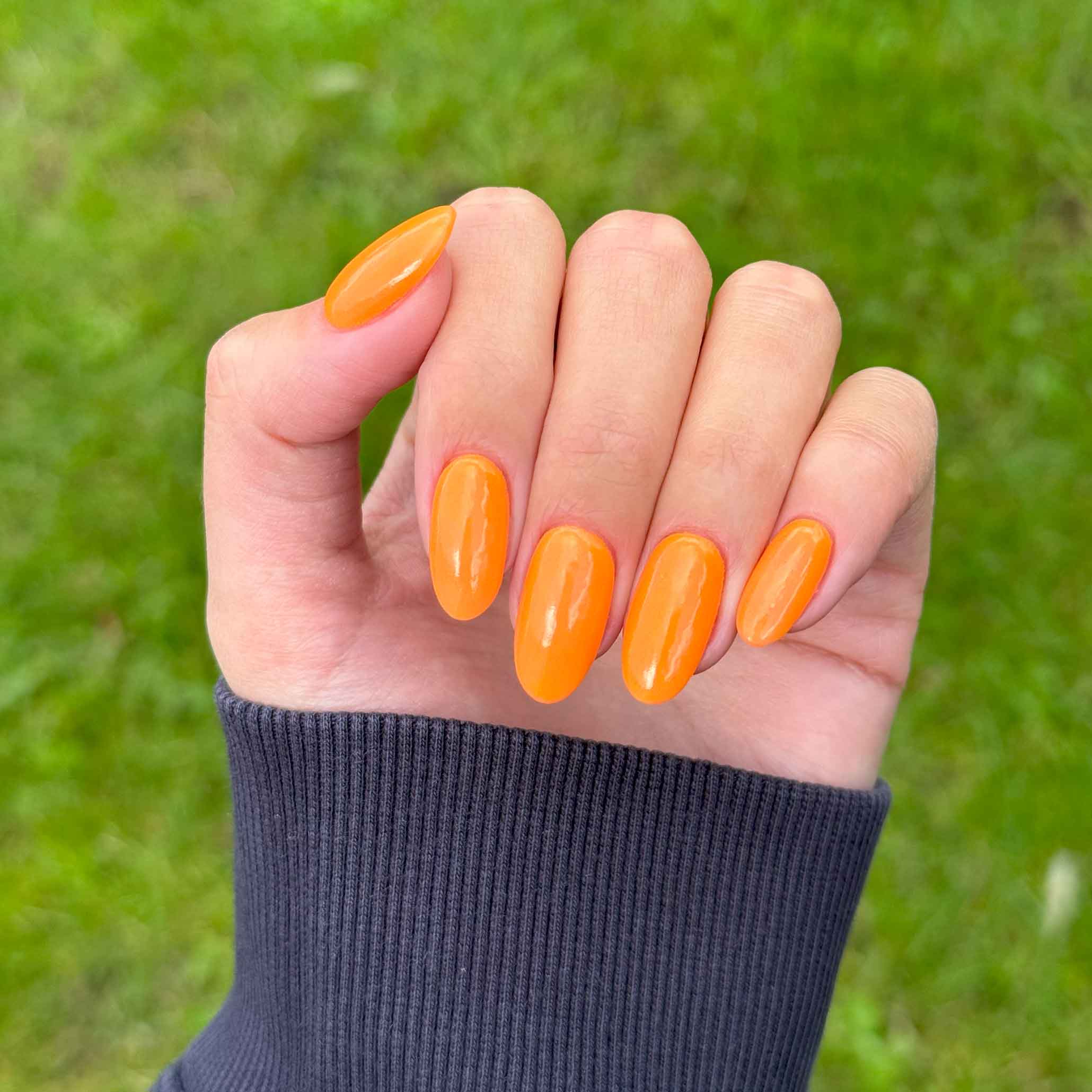 Pumpkin Spice - Image 3