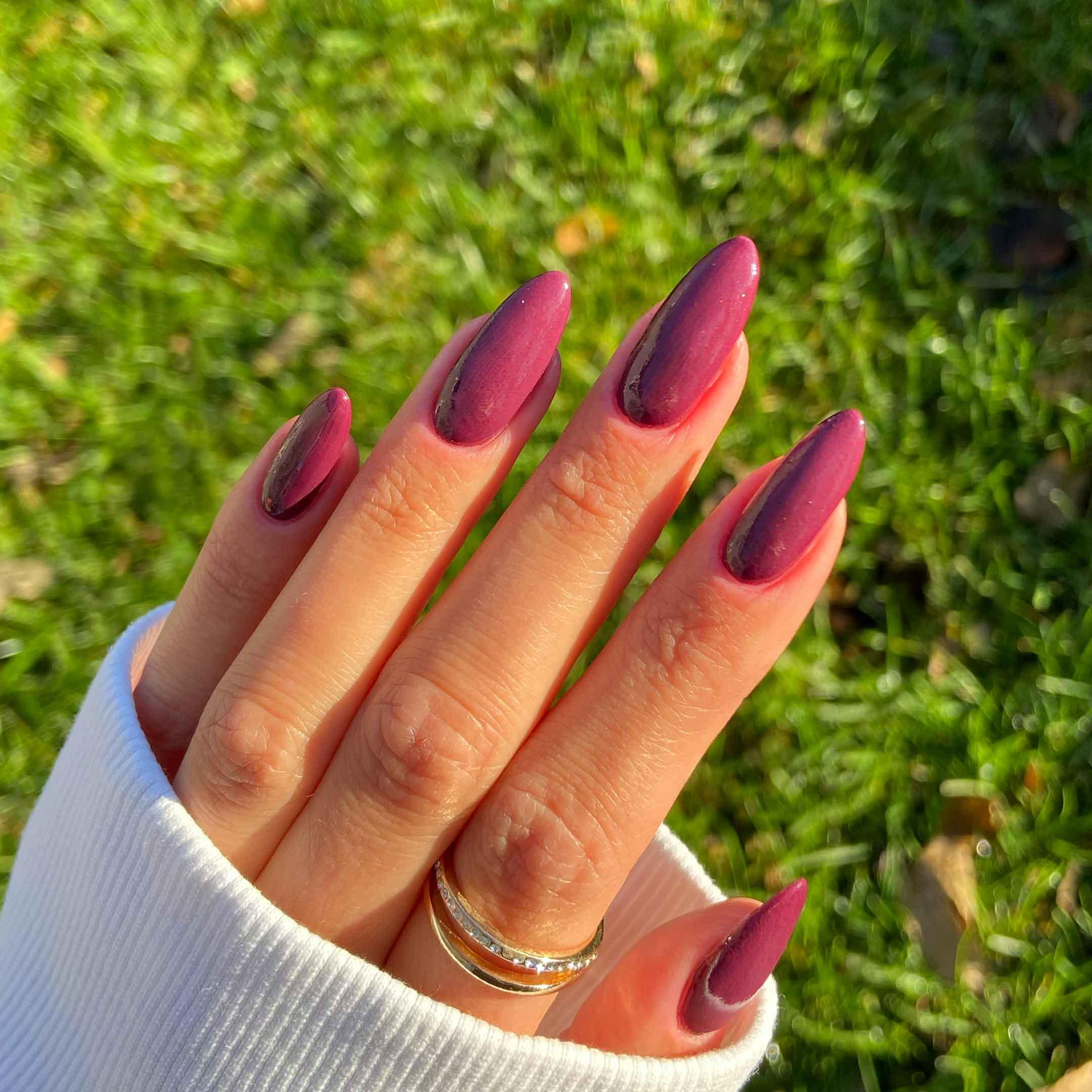 Velvet Cherry - Image 4