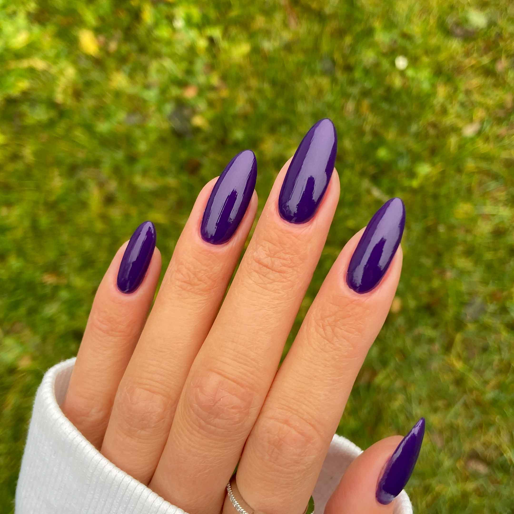 Violet Flush - Image 4
